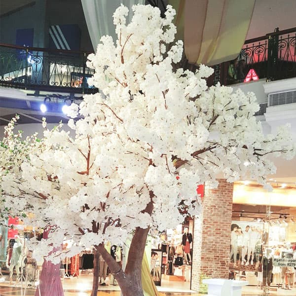 Muse Decor Hire
