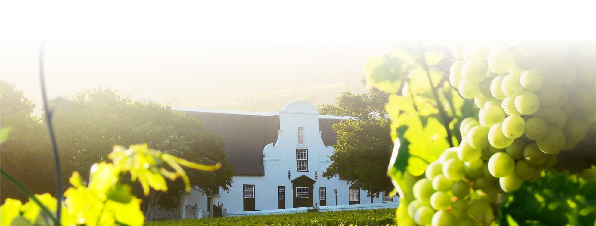 Groot Constantia
