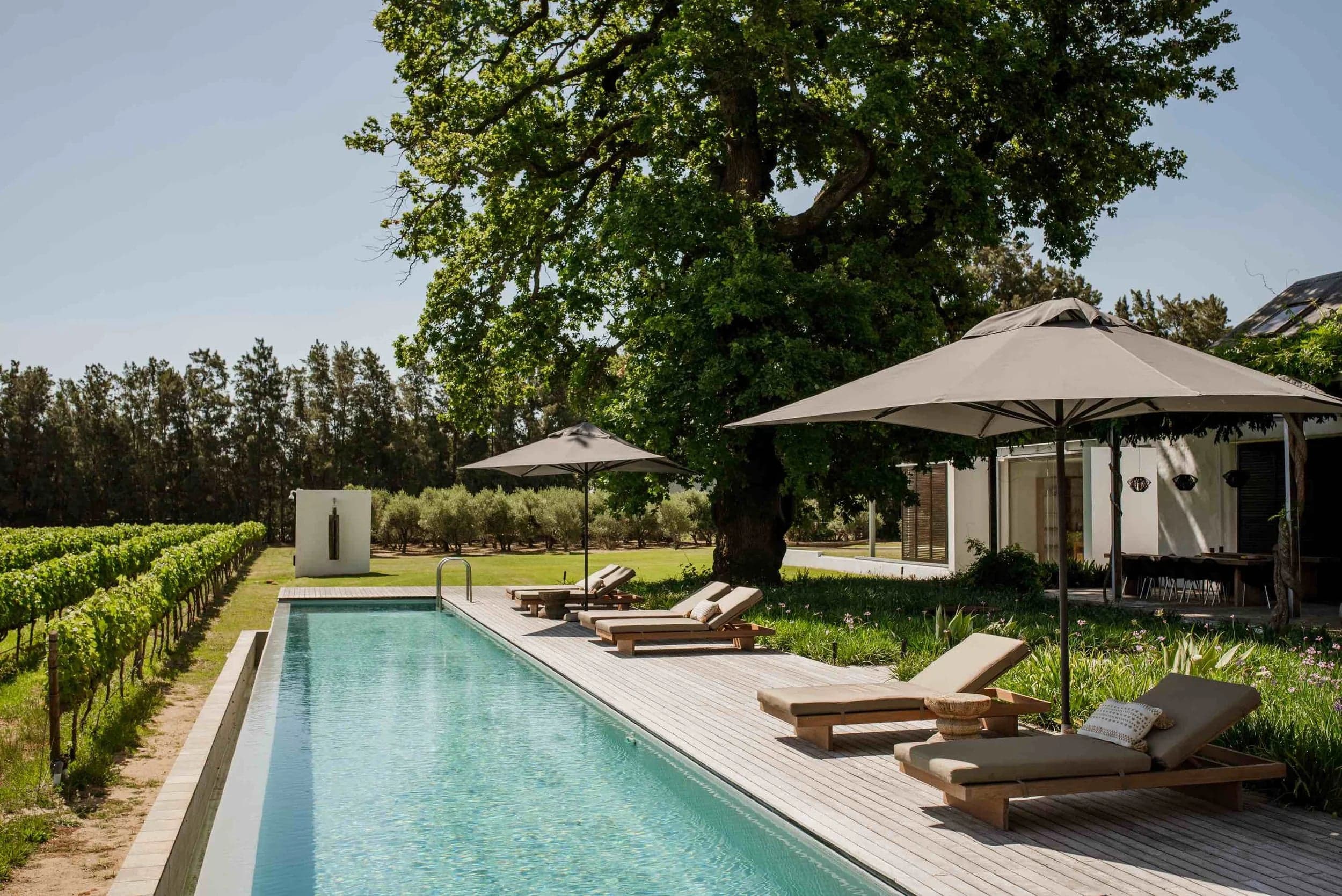 Maison Estate