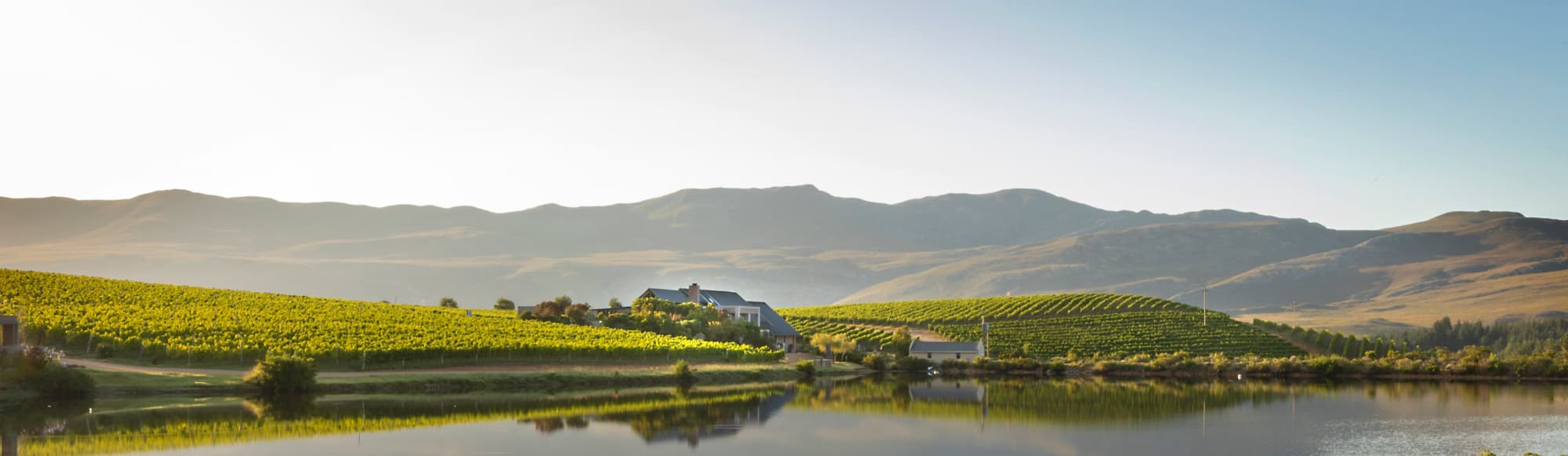 Creation Wines