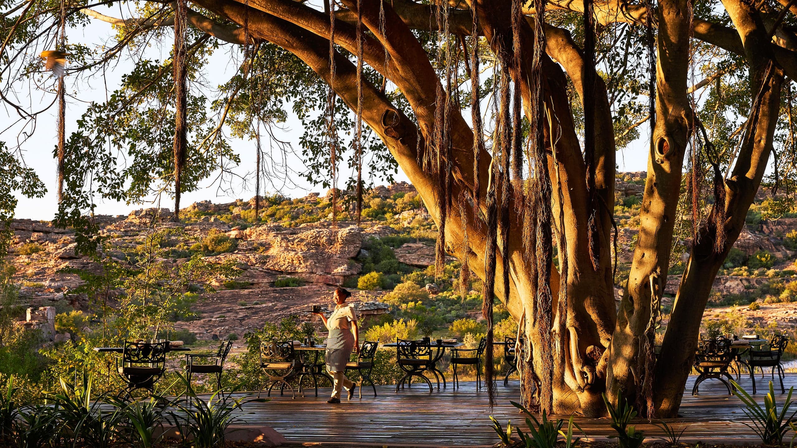 Bushmans Kloof Wilderness Reserve