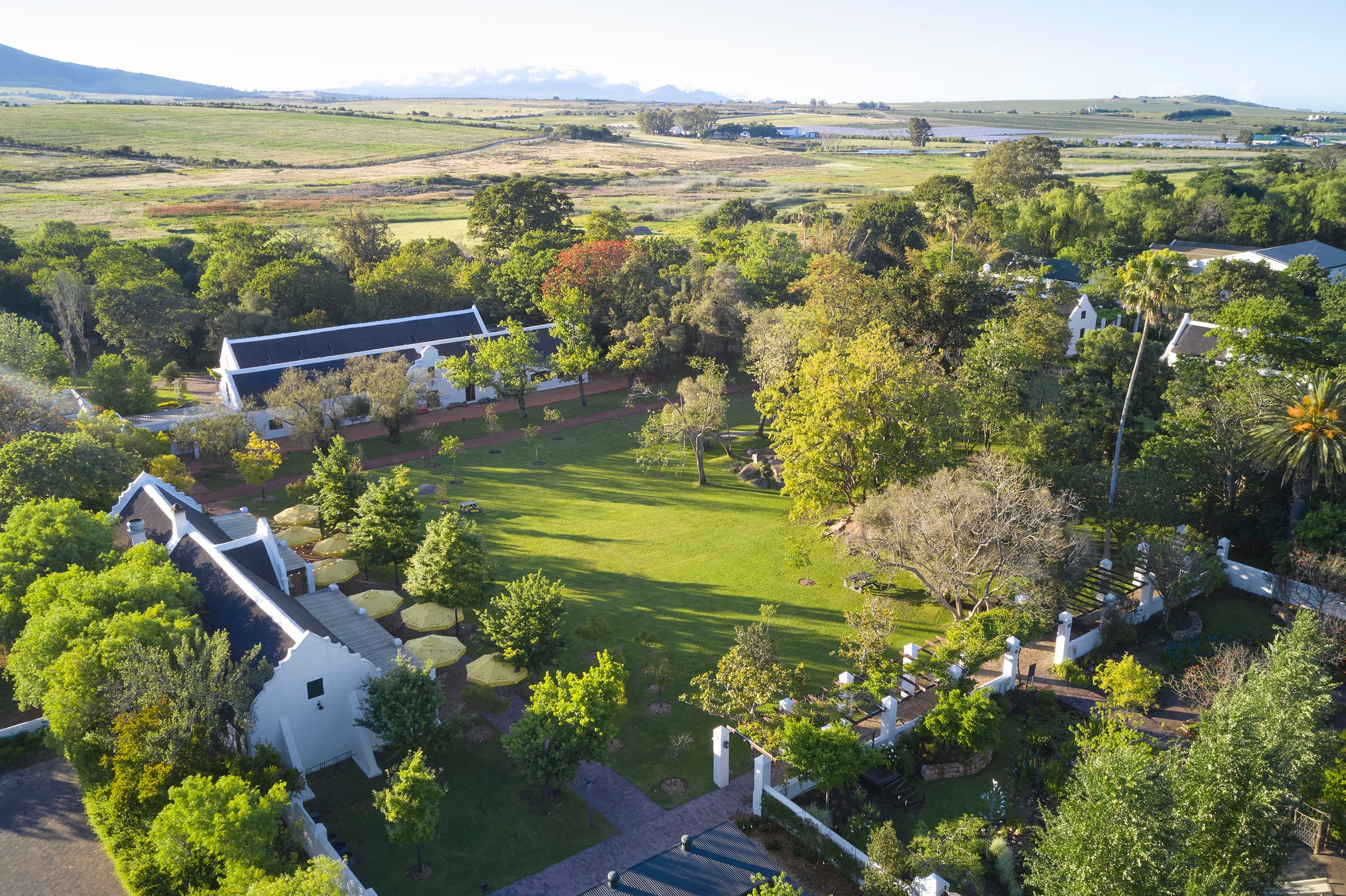 Spier Wine Farm