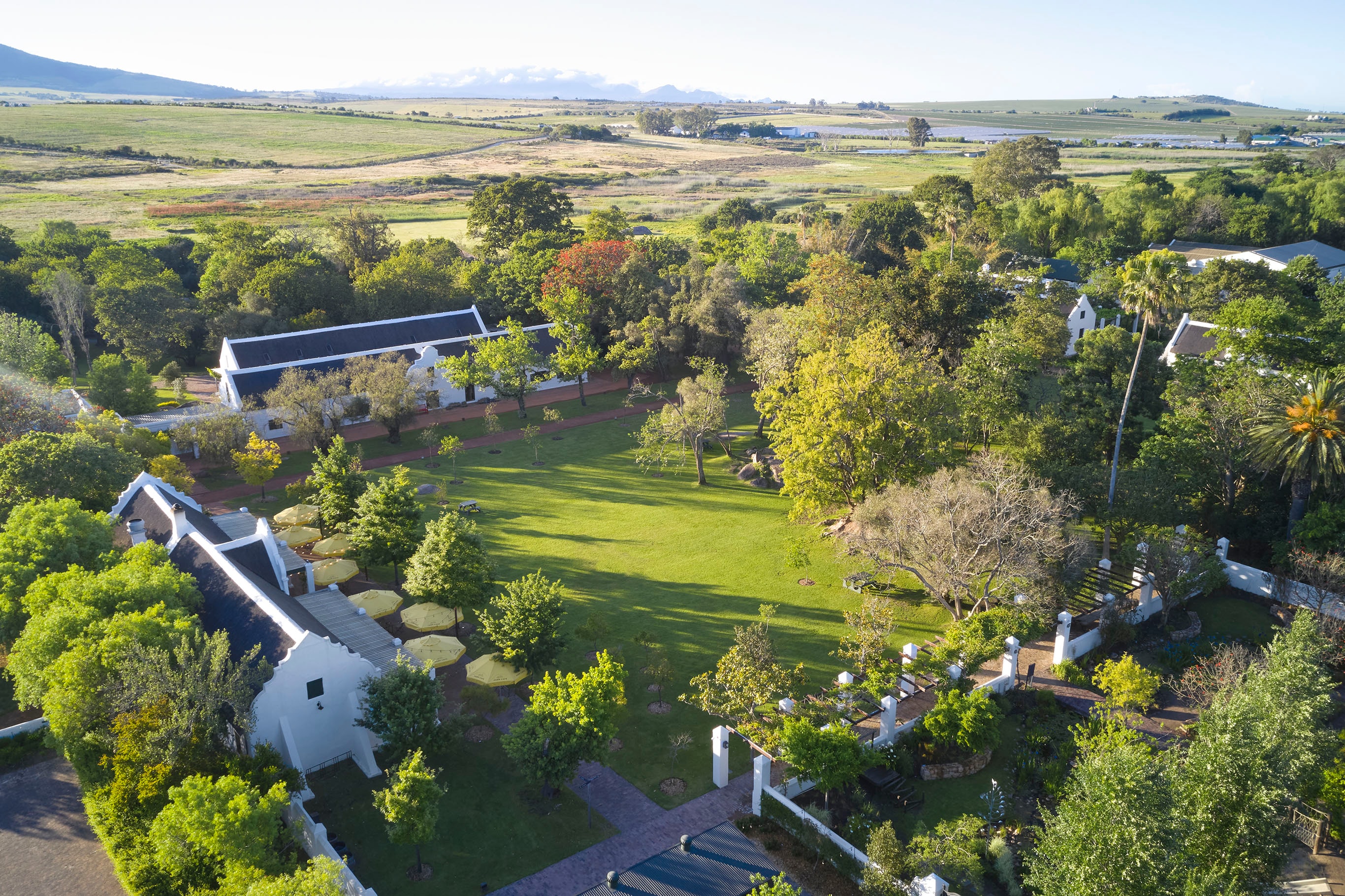 Spier Wine Farm