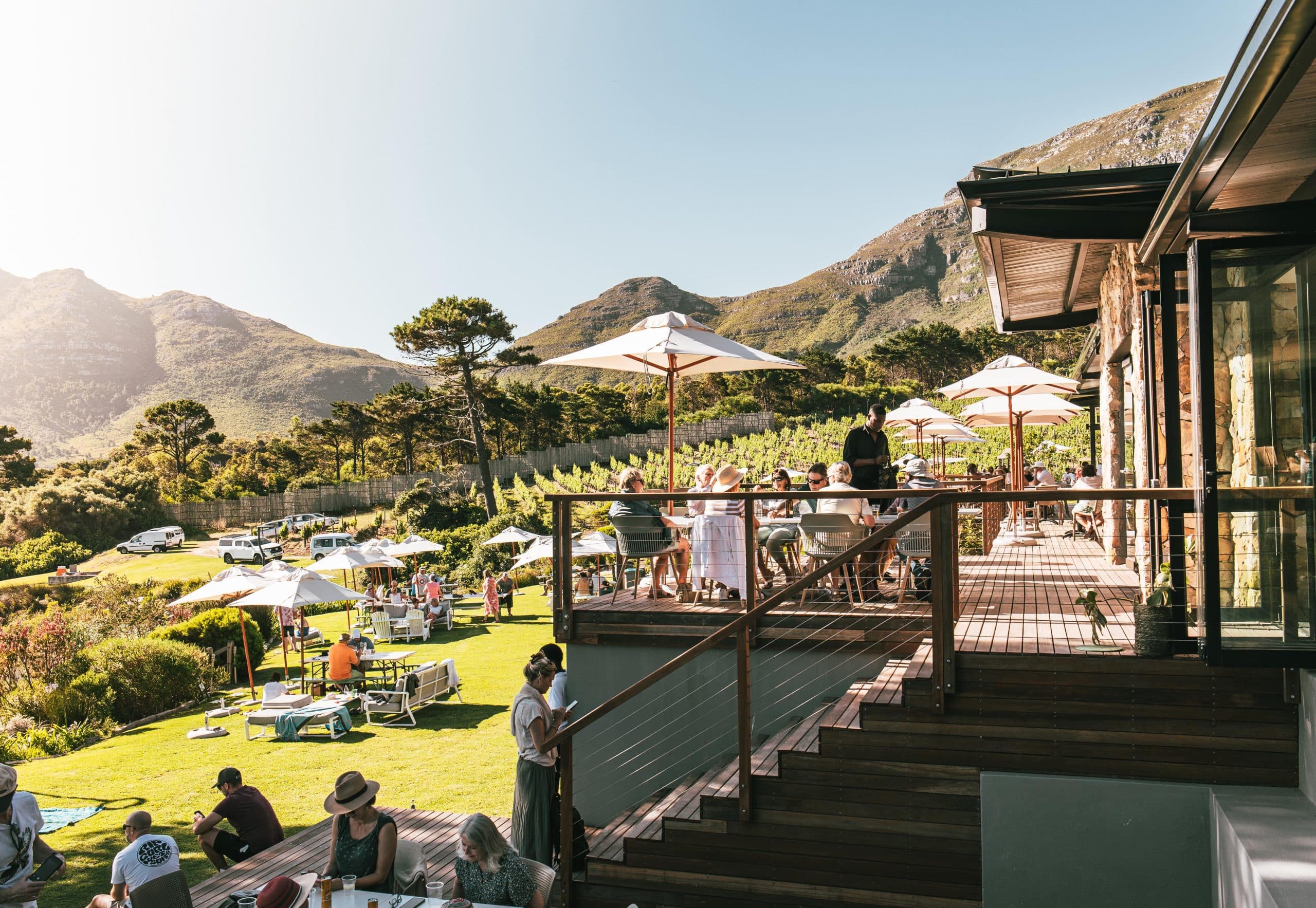 Cape Point Vineyards
