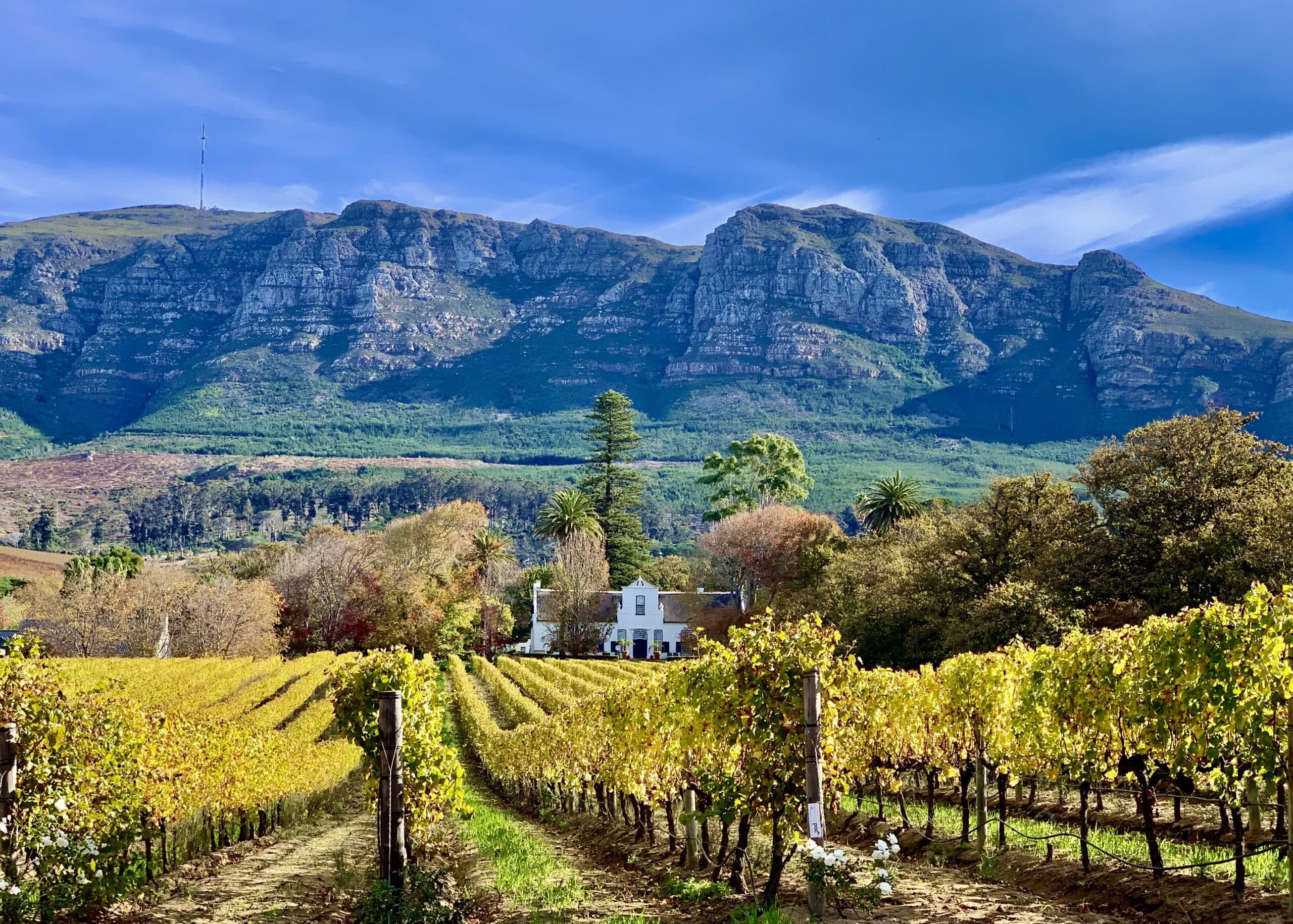 Buitenverwachting Wine Farm