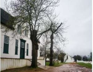 Elsenburg Manor